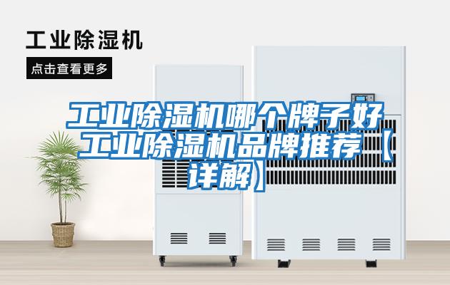 工业除湿机哪个牌子好 工业除湿机品牌推荐【详解】
