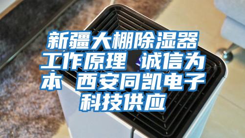 新疆大棚除湿器工作原理 诚信为本 西安同凯电子科技供应