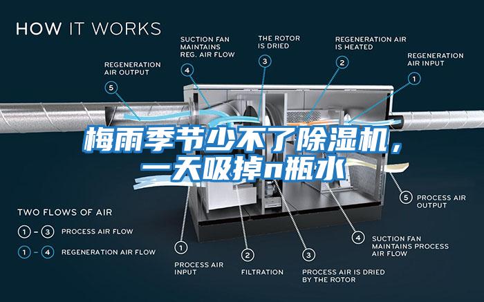 梅雨季节少不了除湿机，一天吸掉n瓶水