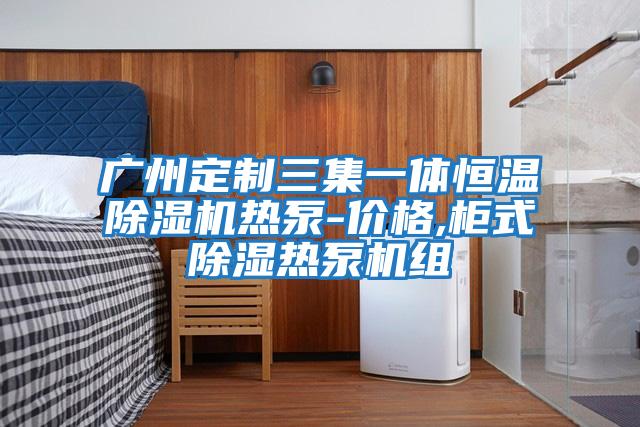 广州定制三集一体恒温除湿机热泵-价格,柜式除湿热泵机组