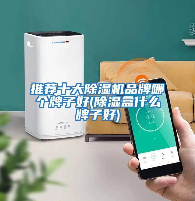 推荐十大除湿机品牌哪个牌子好(除湿盒什么牌子好)