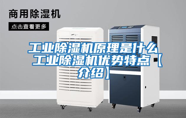 工业除湿机原理是什么 工业除湿机优势特点【介绍】