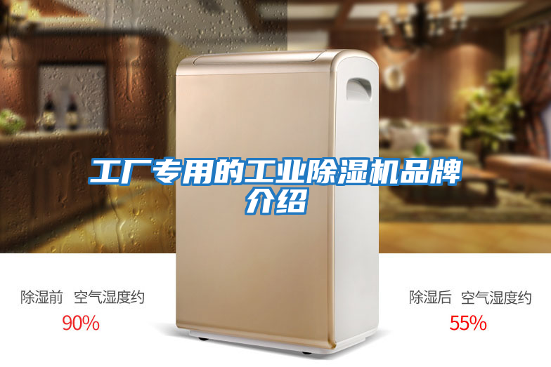 工厂专用的工业除湿机品牌介绍