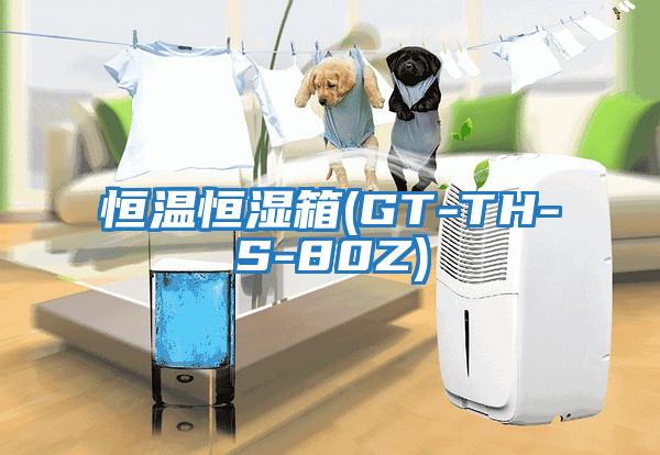 恒温恒湿箱(GT-TH-S-80Z)