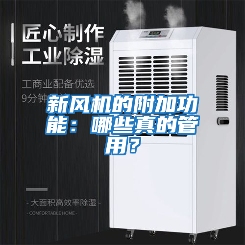 新风机的附加功能：哪些真的管用？