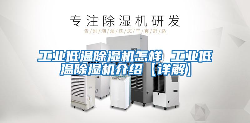 工业低温除湿机怎样 工业低温除湿机介绍【详解】