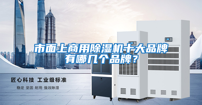 市面上商用除湿机十大品牌有哪几个品牌？