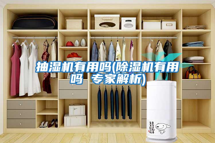 抽湿机有用吗(除湿机有用吗 专家解析)
