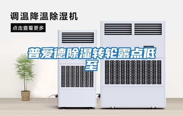 普爱德除湿转轮露点低至