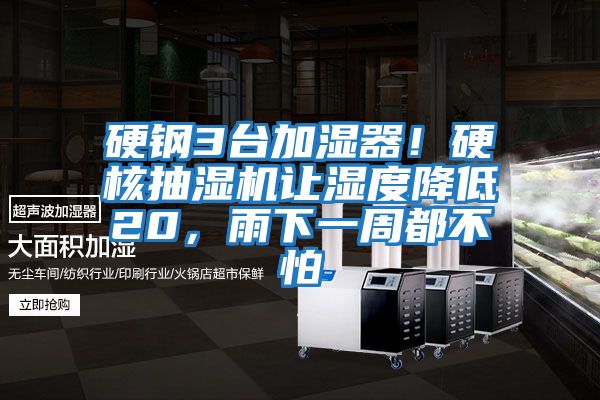 硬钢3台加湿器！硬核抽湿机让湿度降低20，雨下一周都不怕