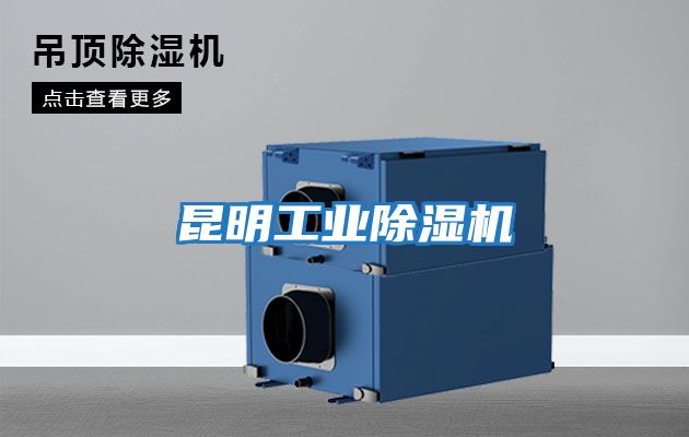 昆明工业除湿机