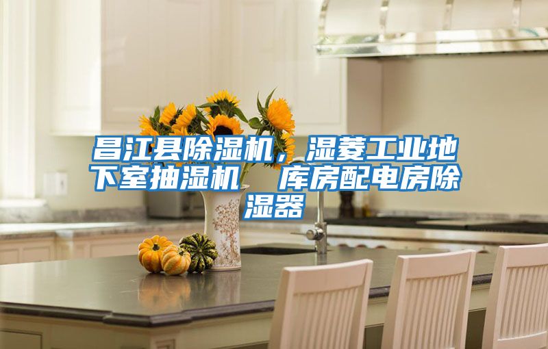 昌江县除湿机，湿菱工业地下室抽湿机  库房配电房除湿器
