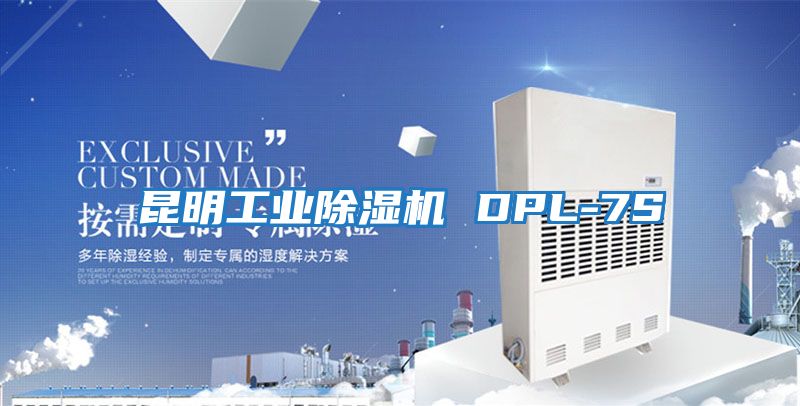 昆明工业除湿机 DPL-7S