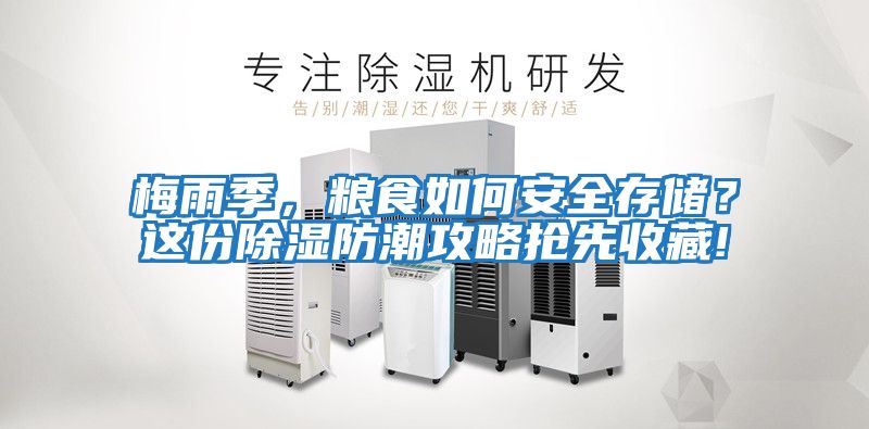 梅雨季，粮食如何安全存储？这份除湿防潮攻略抢先收藏!