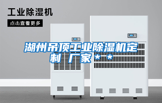 湖州吊顶工业除湿机定制 厂家＊＊