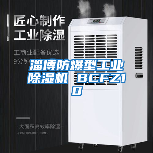淄博防爆型工业除湿机 BCFZ10