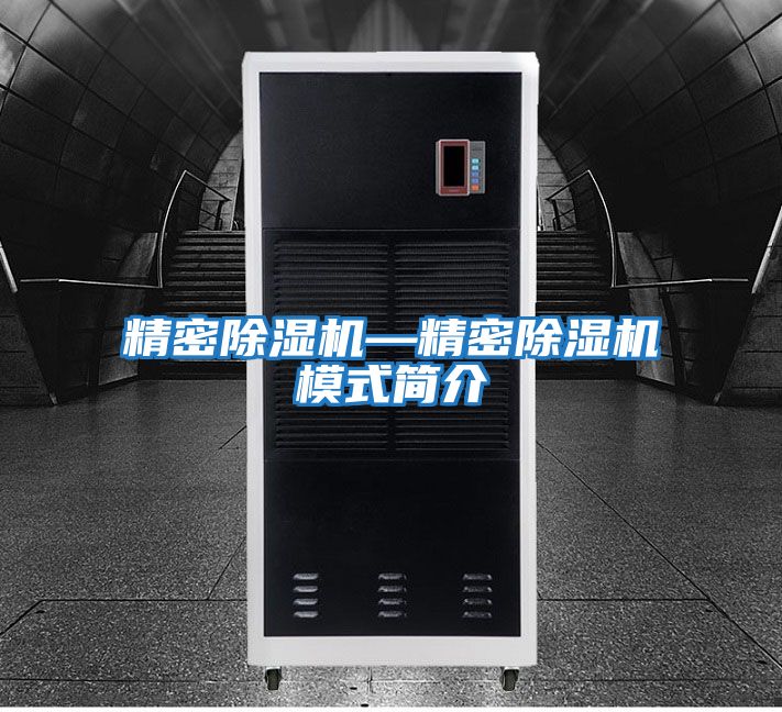 精密除湿机—精密除湿机模式简介