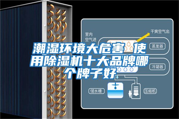 潮湿环境大危害 使用除湿机十大品牌哪个牌子好