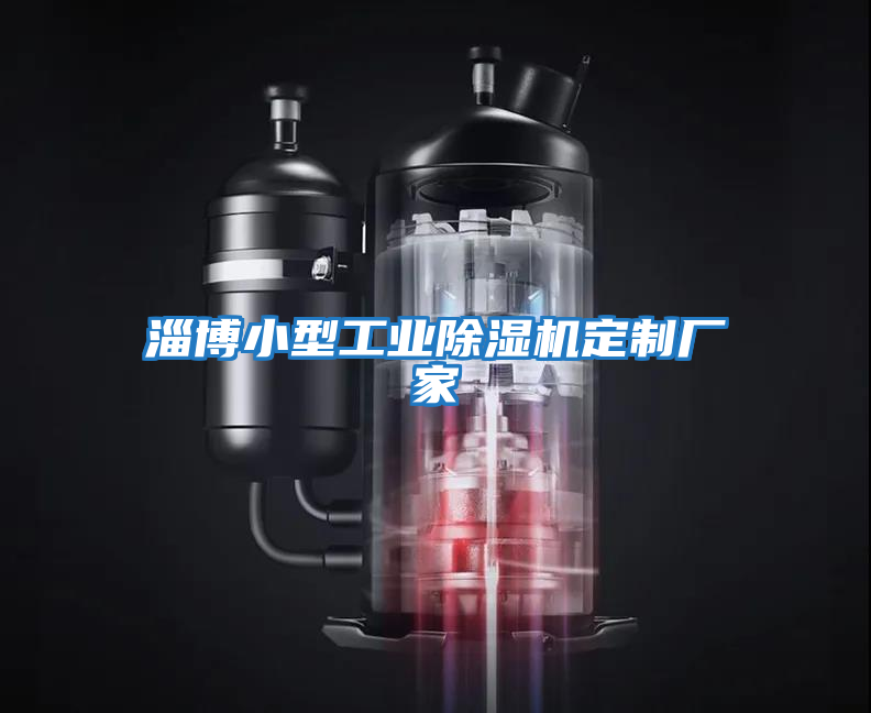 淄博小型工业除湿机定制厂家