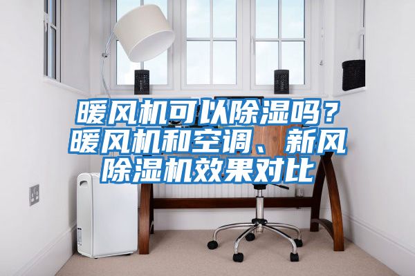 暖风机可以除湿吗？暖风机和空调、新风除湿机效果对比