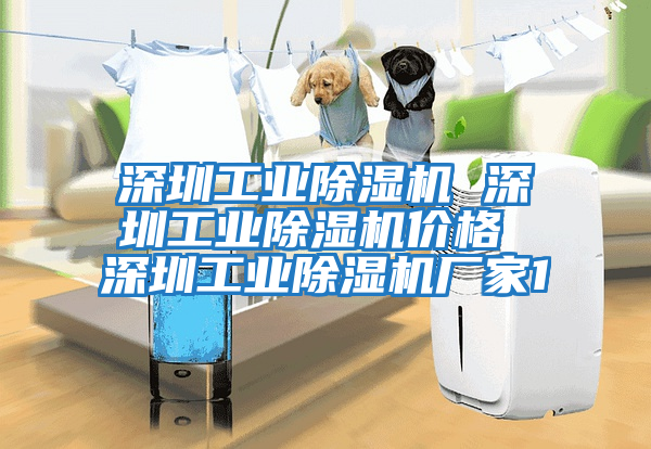 深圳工业除湿机 深圳工业除湿机价格 深圳工业除湿机厂家1