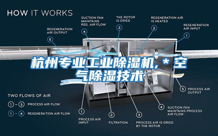 杭州专业工业除湿机,＊空气除湿技术