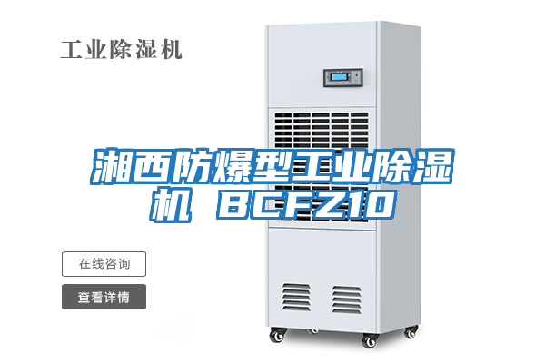 湘西防爆型工业除湿机 BCFZ10
