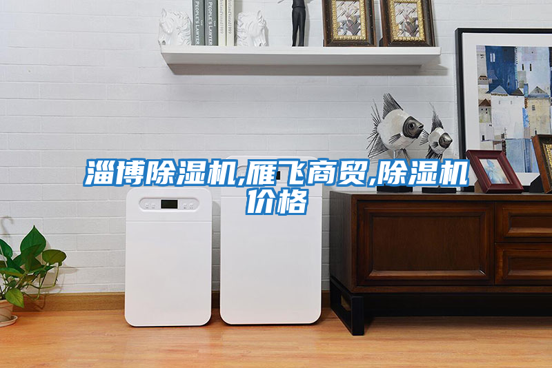 淄博除湿机,雁飞商贸,除湿机价格