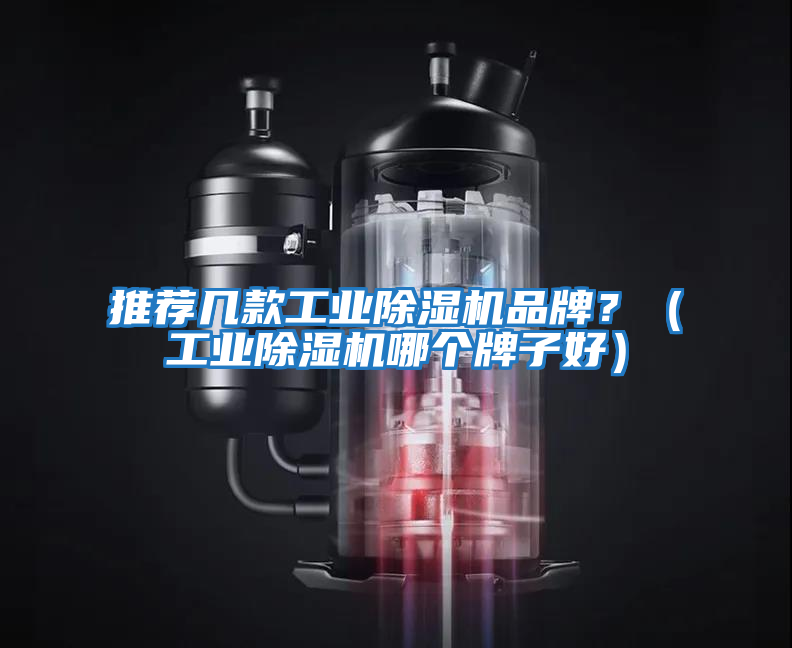 推荐几款工业除湿机品牌？（工业除湿机哪个牌子好）