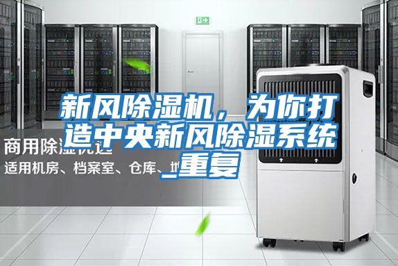 新风除湿机，为你打造中央新风除湿系统_重复