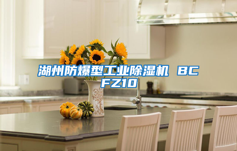 湖州防爆型工业除湿机 BCFZ10