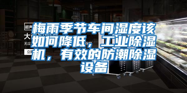 梅雨季节车间湿度该如何降低，工业除湿机，有效的防潮除湿设备