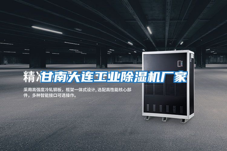 甘南大连工业除湿机厂家