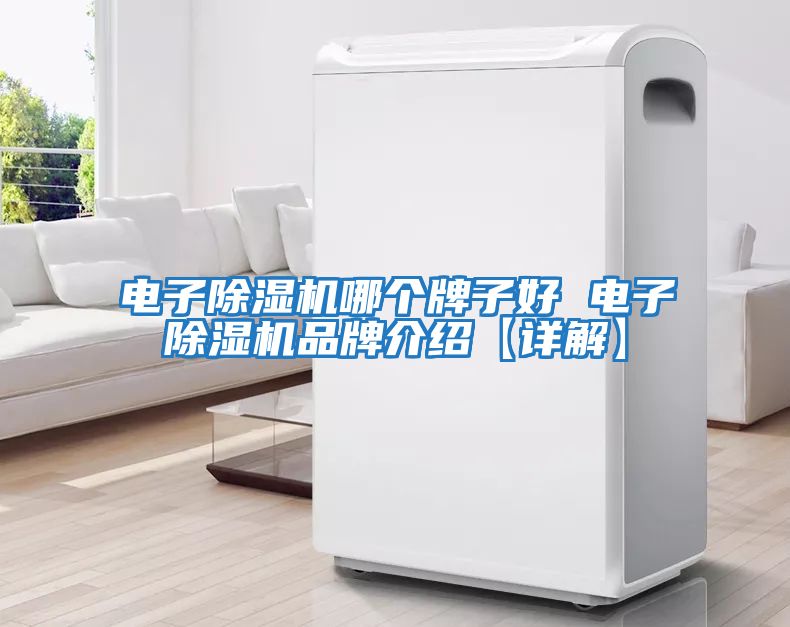 电子除湿机哪个牌子好 电子除湿机品牌介绍【详解】