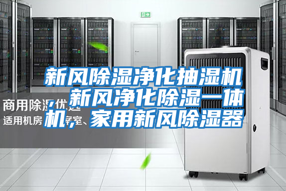 新风除湿净化抽湿机，新风净化除湿一体机，家用新风除湿器
