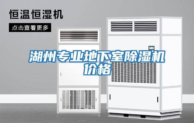 湖州专业地下室除湿机价格