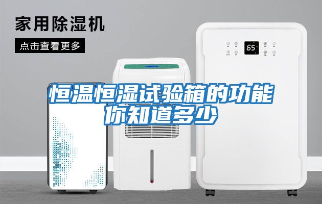 恒温恒湿试验箱的功能你知道多少