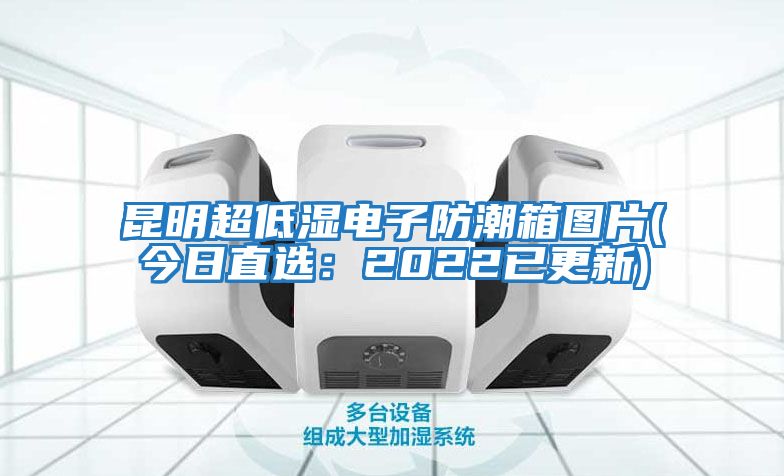 昆明超低湿电子防潮箱图片(今日直选：2022已更新)