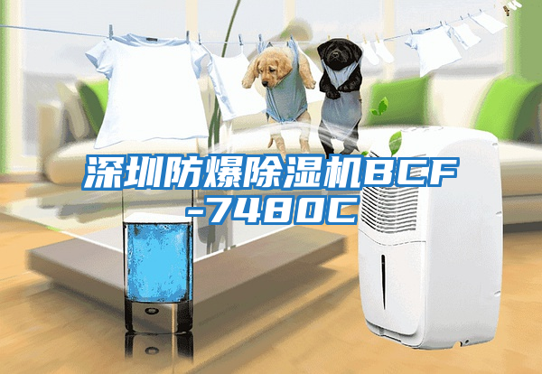 深圳防爆除湿机BCF-7480C