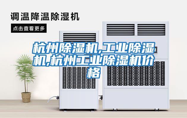 杭州除湿机,工业除湿机,杭州工业除湿机价格