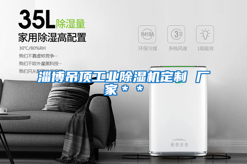 淄博吊顶工业除湿机定制 厂家＊＊