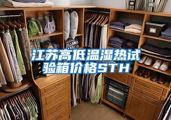 江苏高低温湿热试验箱价格STH