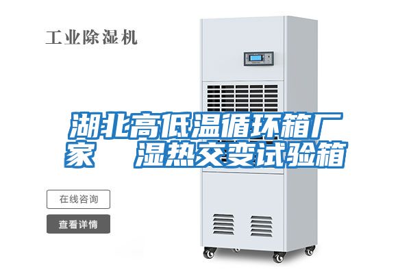 湖北高低温循环箱厂家  湿热交变试验箱