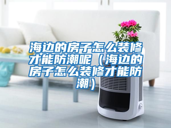 海边的房子怎么装修才能防潮呢（海边的房子怎么装修才能防潮）