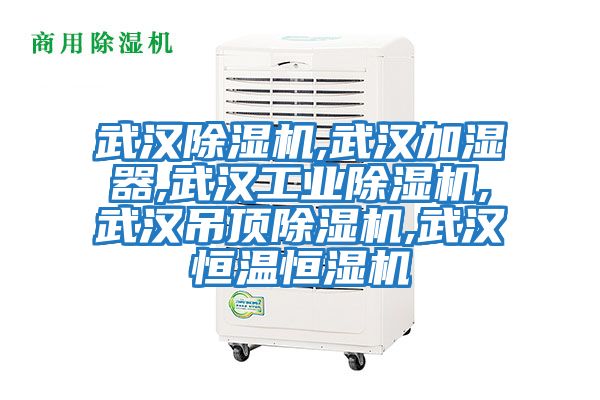 武汉除湿机,武汉加湿器,武汉工业除湿机,武汉吊顶除湿机,武汉恒温恒湿机