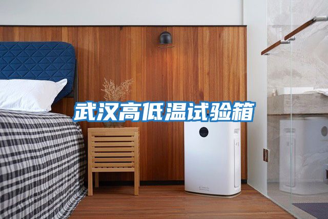 武汉高低温试验箱