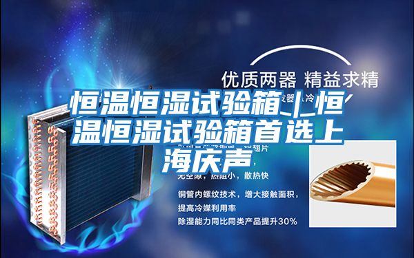 恒温恒湿试验箱｜恒温恒湿试验箱首选上海庆声