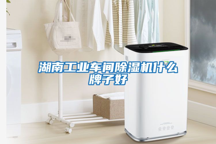 湖南工业车间除湿机什么牌子好