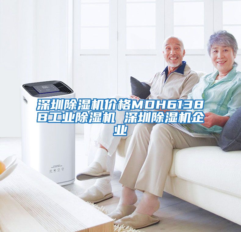 深圳除湿机价格MDH6138B工业除湿机 深圳除湿机企业