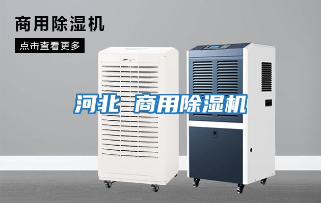 河北 商用除湿机